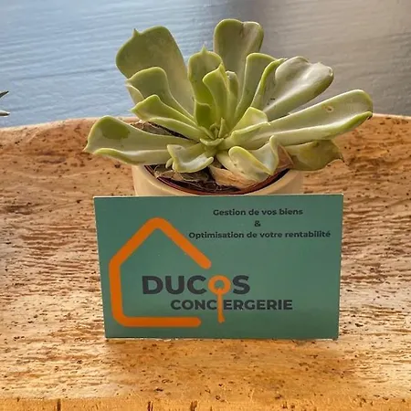 Lumineux Et Spacieux T3, Bordeaux, St Augustin Mérignac